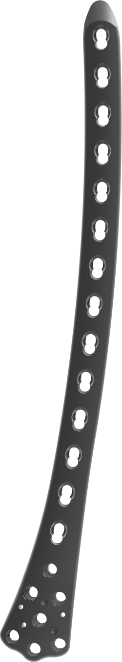 Distal Femoral Locking Plate